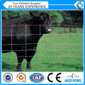 Knotted galvanized cattle/deer/chicken farm fencing mesh